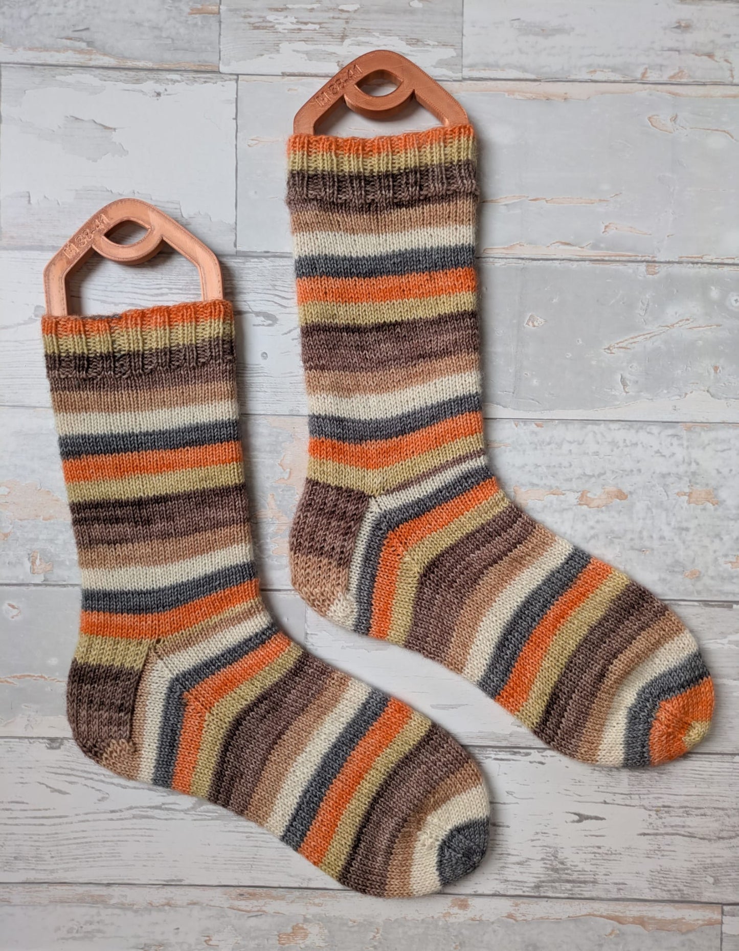 Moth of the Month - Hummingbird Hawk Moth (7 stripes)