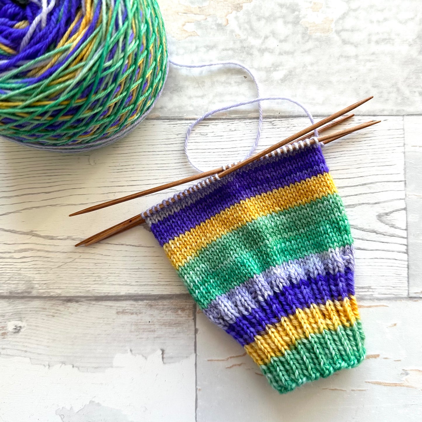 Crocus (5 stripes)