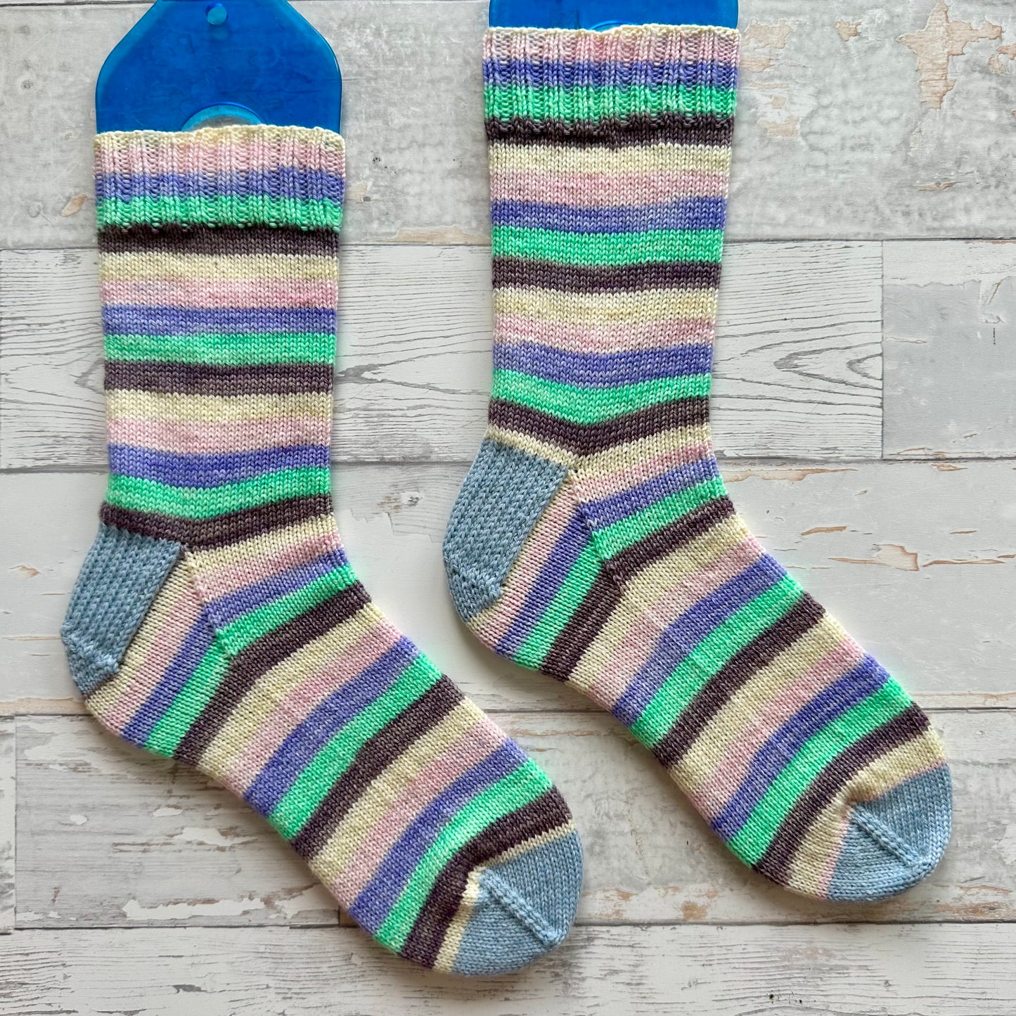 Carpe Diem (5 stripes)
