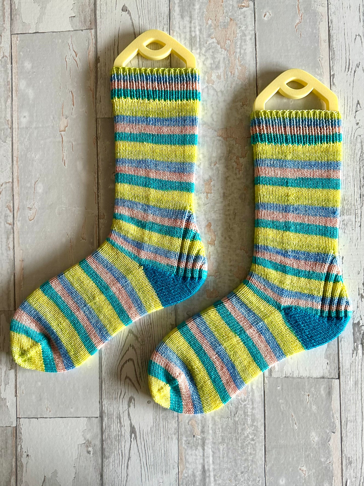 bon voyage (5 stripes)