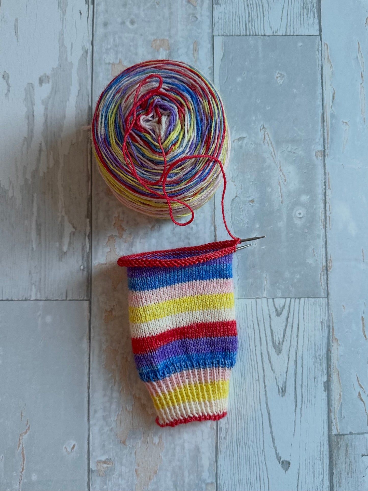 petals (6 stripes)