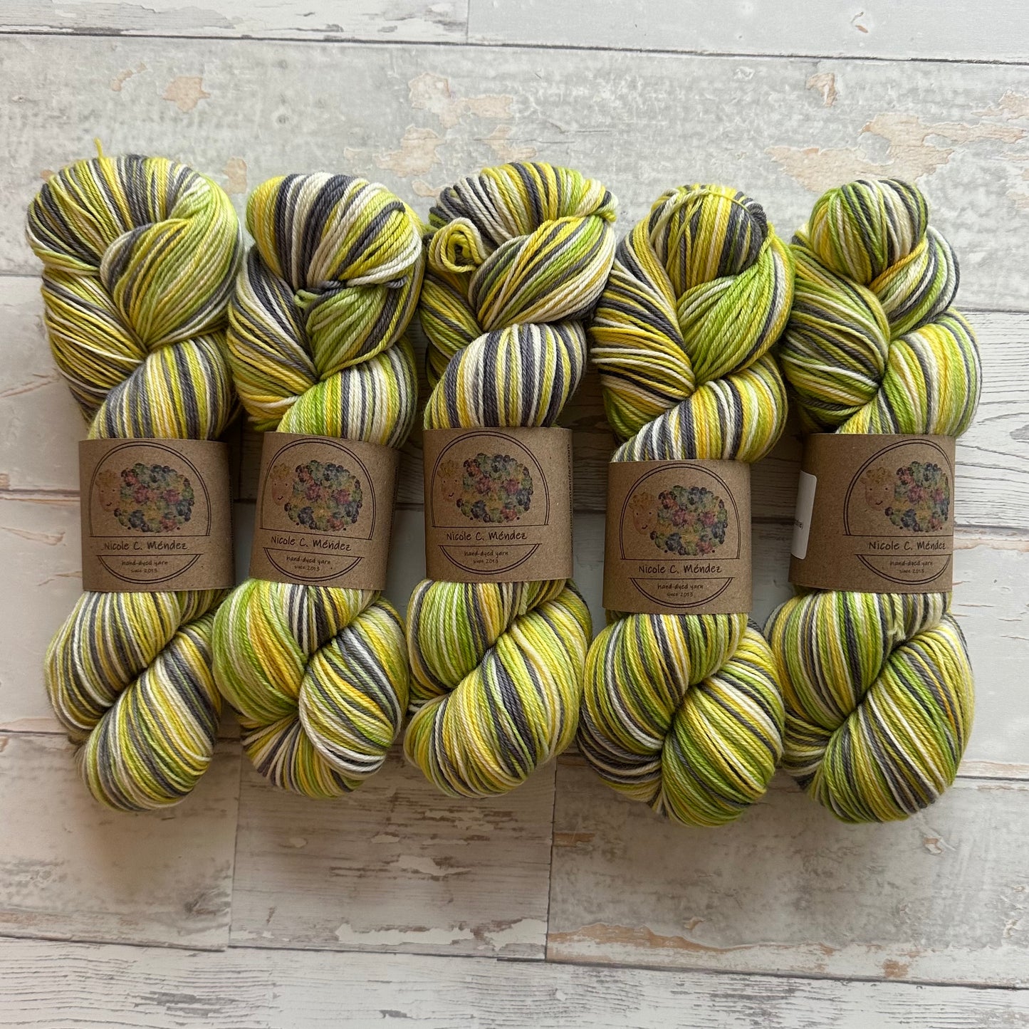 Moth of the Month - Green Drab (5 stripes)