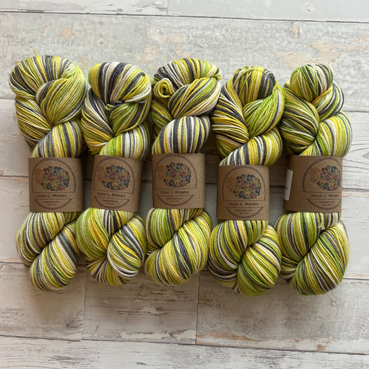 Moth of the Month - Green Drab (5 stripes)