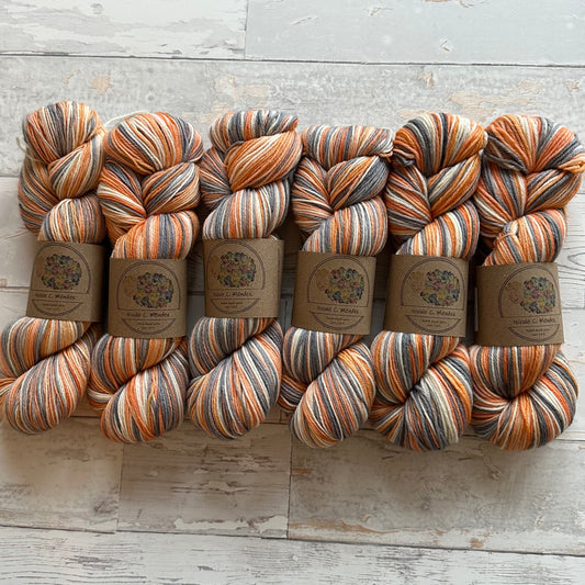 Moth of the Month - Isabella Tiger Moth (4 stripes)