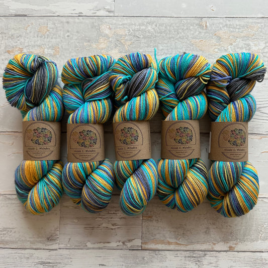 Moth of the Month - Madagascan Sunset Moth (5 stripes)