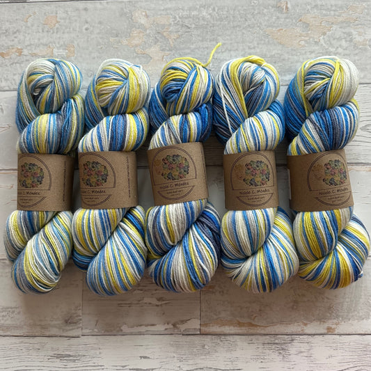 Bird of the Month - Eurasian Blue Tit (6 stripes)