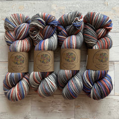 Bird of the Month - Barn Swallow (6 stripes)