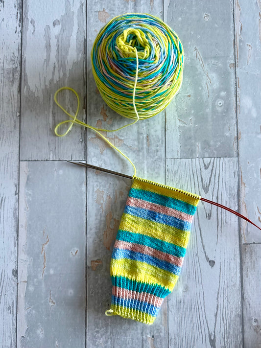 bon voyage (5 stripes)