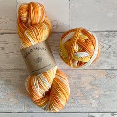 Pumpkin Soup (4 stripes)